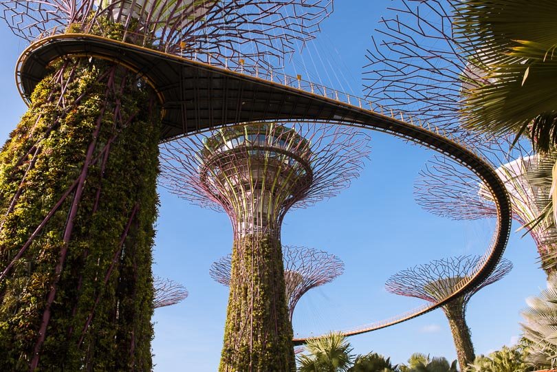 Singapur, Supertrees, Gardens by the Bay, Skyway, Highlights, Supertree Grove