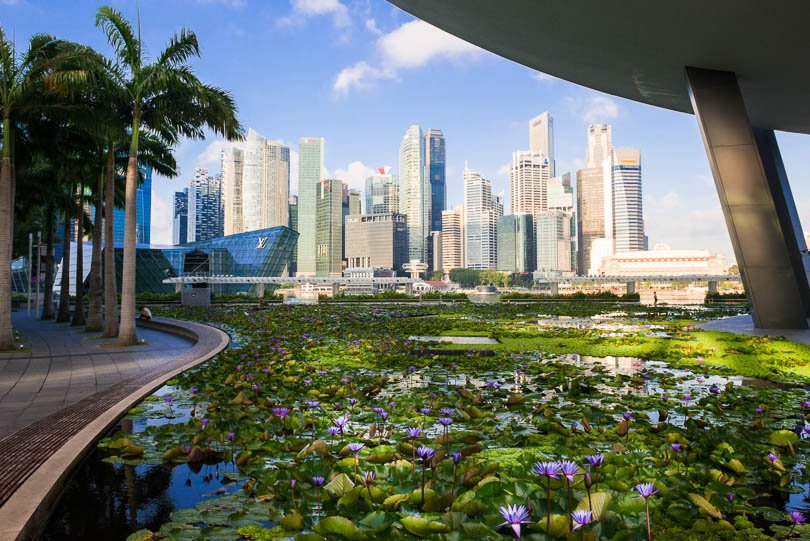 Singapur, Lotusblueten am ArtScience Museum, Sehenswuerdigkeiten, Seerosen