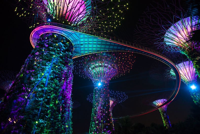 Singapur, Supertrees, Highlights, Singapore, Supertree Grove, Nightlive