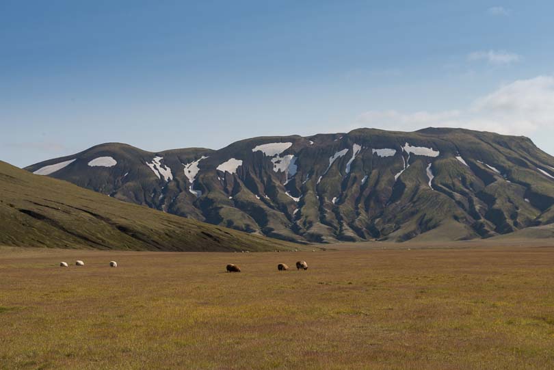 Island, Landmannalaugar