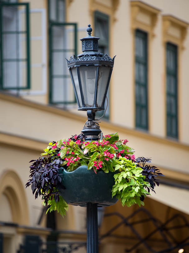 Budapest: Laterne mit Blumen