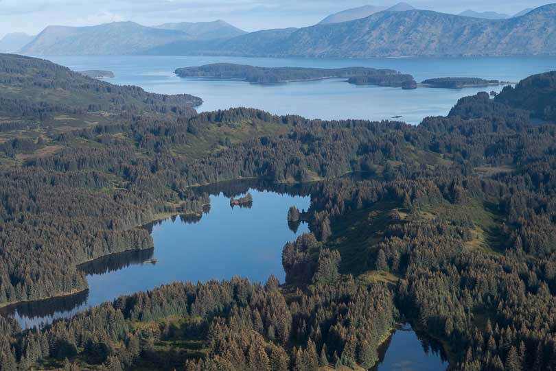 Alaska, USA, Kodiak Island: unberührte Küste am Pazifik