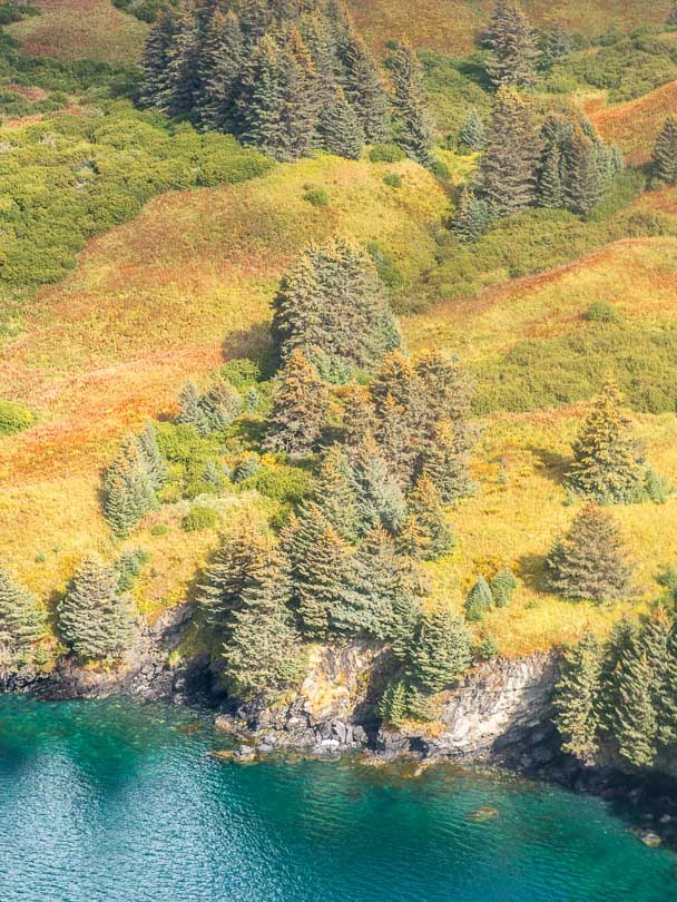 Landschaft, Kueste, Ufer, Kodiak, Alaska, USA