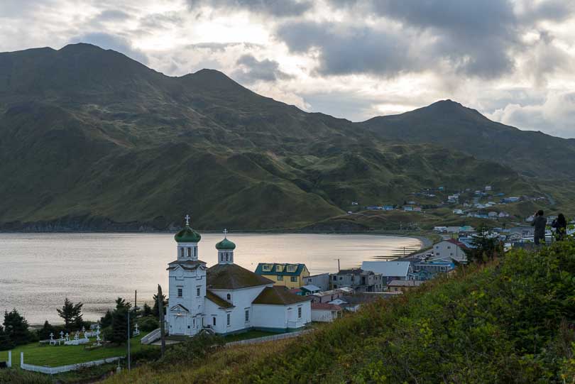 Alaska, USA, Aleuten, Dutch Harbour, Unalaska, Fuchs, Wildlife